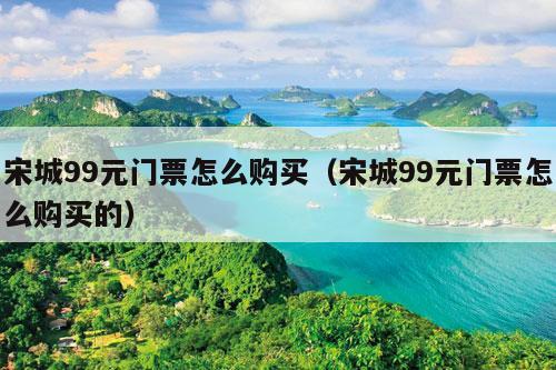 宋城99元门票怎么购买（宋城99元门票怎么购买的）