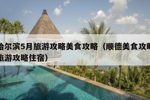 哈尔滨5月旅游攻略美食攻略（顺德美食攻略旅游攻略住宿）