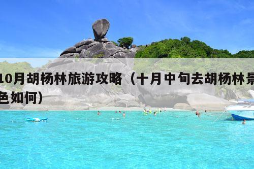 10月胡杨林旅游攻略（十月中旬去胡杨林景色如何）