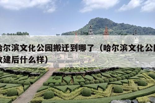 哈尔滨文化公园搬迁到哪了（哈尔滨文化公园改建后什么样）