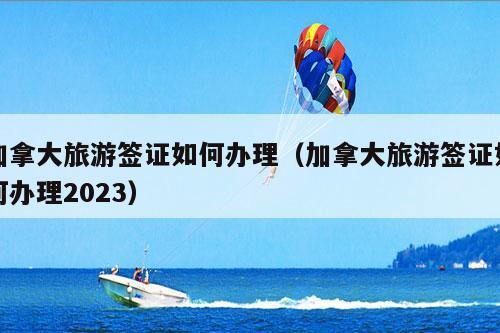 加拿大旅游签证如何办理（加拿大旅游签证如何办理2023）