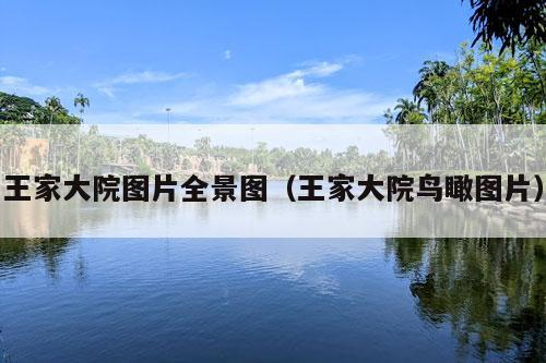 王家大院图片全景图（王家大院鸟瞰图片）