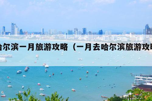 哈尔滨一月旅游攻略（一月去哈尔滨旅游攻略）