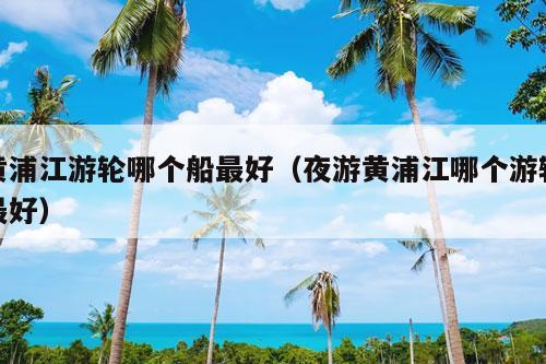 黄浦江游轮哪个船最好（夜游黄浦江哪个游轮最好）