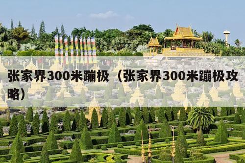 张家界300米蹦极（张家界300米蹦极攻略）