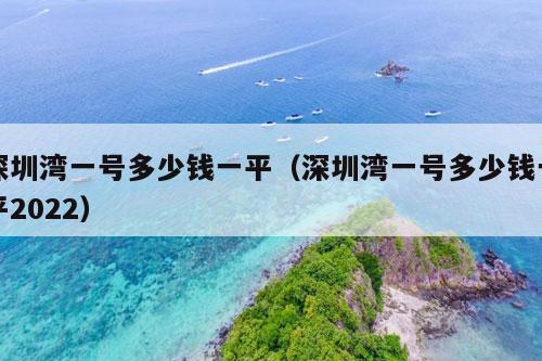 深圳湾一号多少钱一平（深圳湾一号多少钱一平2022）