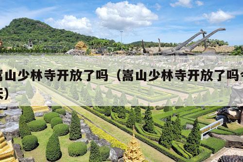 嵩山少林寺开放了吗（嵩山少林寺开放了吗今天）