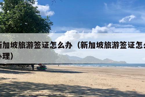 新加坡旅游签证怎么办（新加坡旅游签证怎么办理）