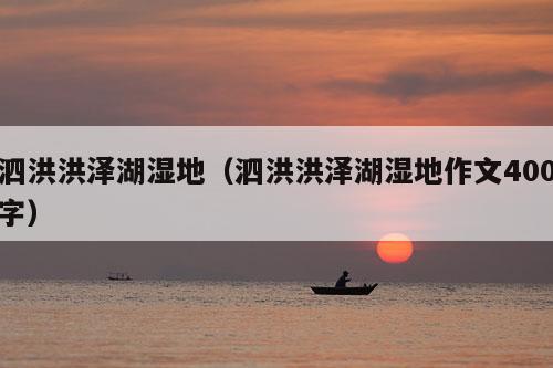 泗洪洪泽湖湿地（泗洪洪泽湖湿地作文400字）