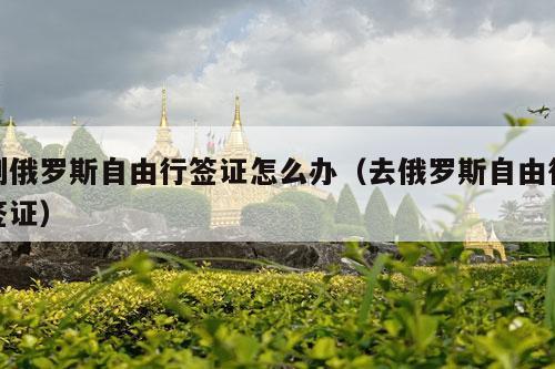 到俄罗斯自由行签证怎么办（去俄罗斯自由行签证）