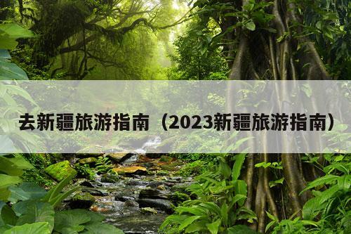 去新疆旅游指南（2023新疆旅游指南）