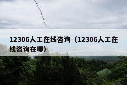 12306人工在线咨询（12306人工在线咨询在哪）