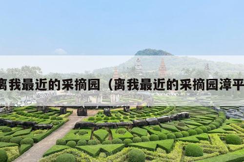 离我最近的采摘园（离我最近的采摘园漳平）