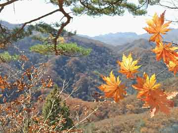 韶山旅游景点介绍（韶山旅游景点门票多少钱）