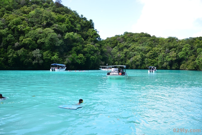 青芒果旅行网（青芒果旅行网酒店分销联盟）