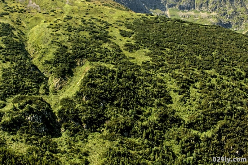 九华山庄官网（九华山庄度假村）