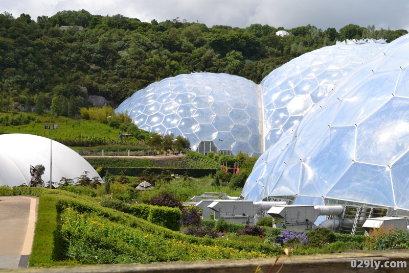 上海植物园在哪里（上海植物园植物）