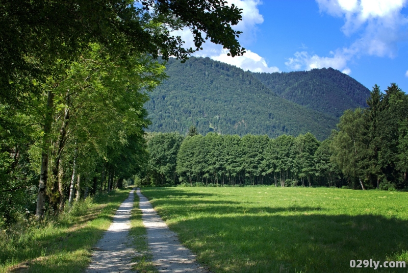 宁海森林温泉公园（宁海森林温泉公园徒步路线）