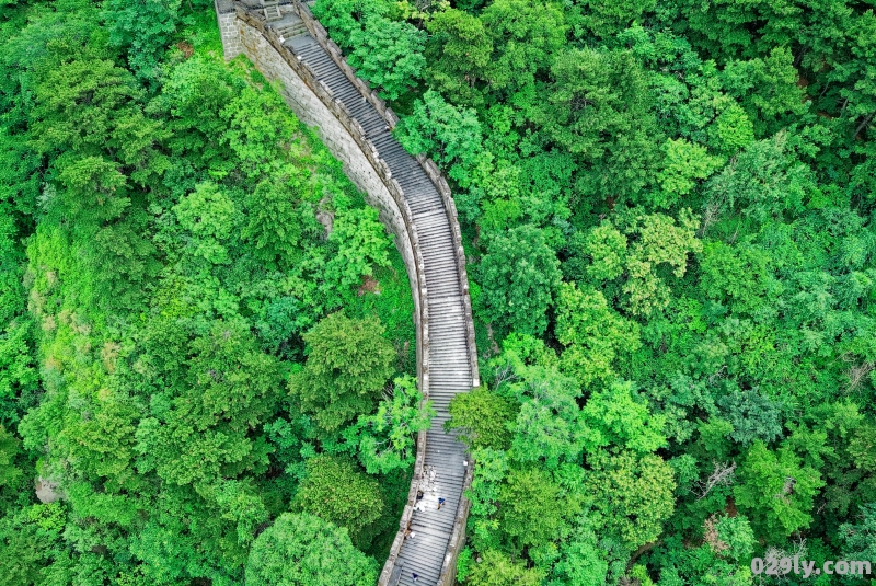 浙江莫干山景区介绍（浙江莫干山旅游景区）