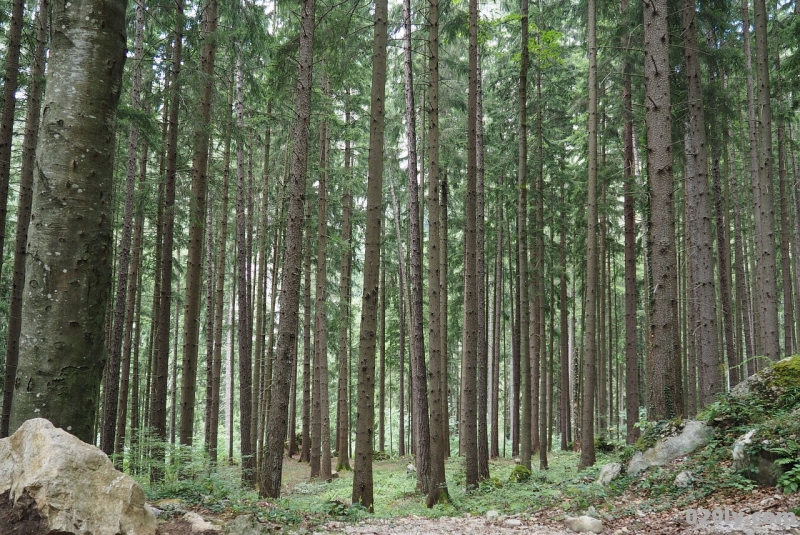 辰山植物园攻略（辰山植物园怎么玩）