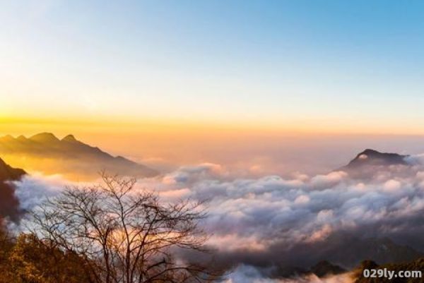 金佛山门票（金佛山门票优惠政策）