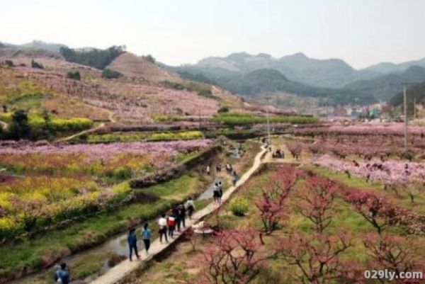 义乌桃花坞（义乌桃花坞桃花什么时候开）