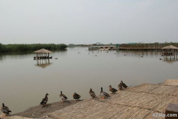 七里海国家湿地公园（天津七里海国家湿地公园）