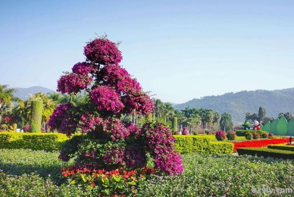 漳州东南花都花博园（漳州东南花都花博园景区）