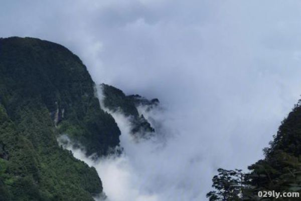 重庆最高的山（重庆最高的山峰）