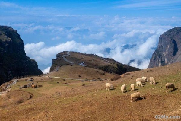 云南大山包（云南大山包风景图片）