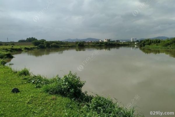 惠州淡水（惠州淡水河钓鱼地址）