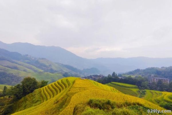 龙胜梯田旅游攻略（龙胜梯田游玩攻略）