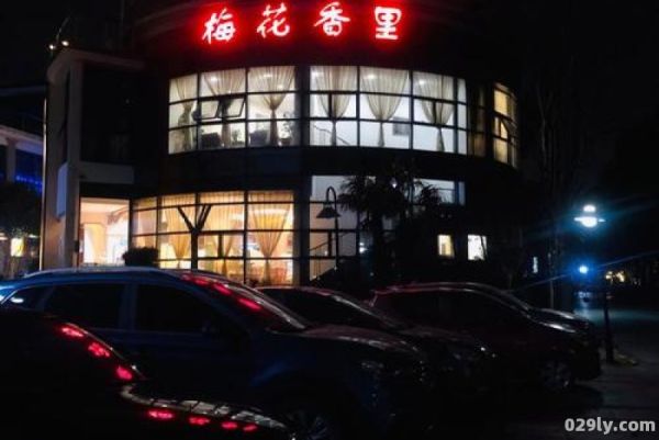 梅花香里大酒店（梅花香里大酒店图片）