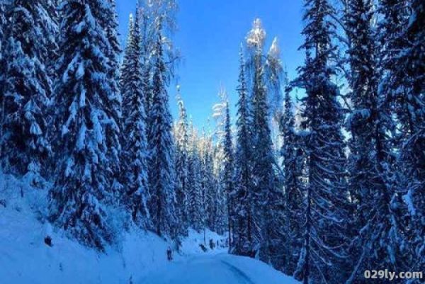 新疆北疆山区降雪（新疆降雪多吗）