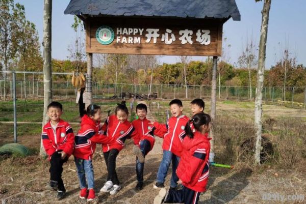 开心农场蓝雅（开心农场种菜）