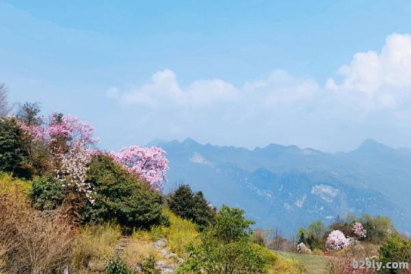 北川药王谷（北川药王谷景区）