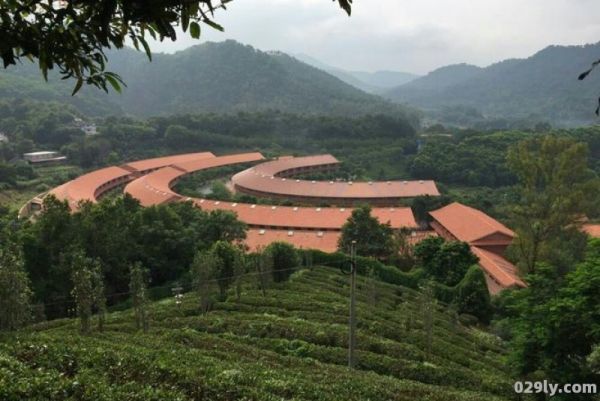 雁南飞茶田度假村（雁南飞茶田度假村发展启示）