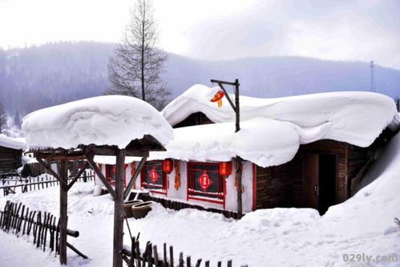 东北雪乡摄影旅行有你不曾见过的雪景