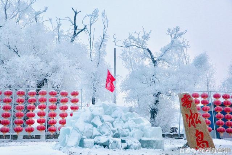 冬季看雪,吉林雾凇岛与雪乡哪里更合适