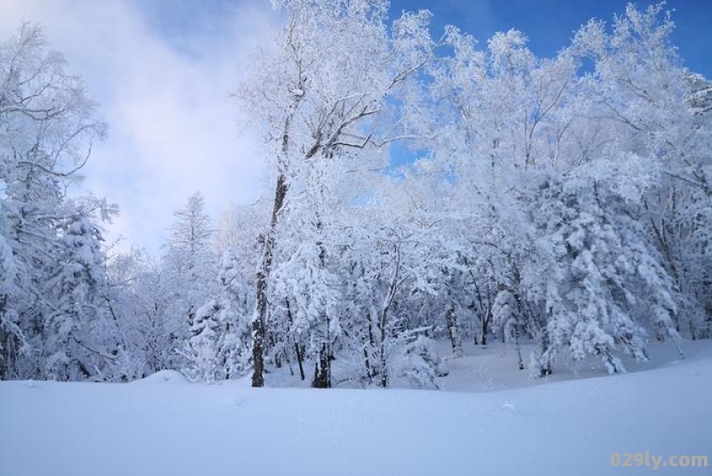 哈尔滨雪景哈尔滨雪景图片大全