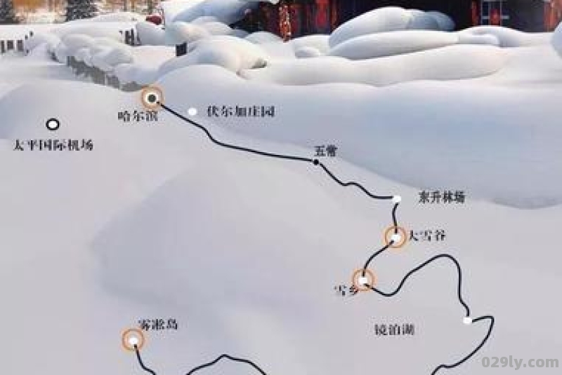 想从大连去雾凇岛,雪乡,哈尔滨,应该先到哪里