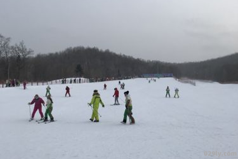 哈尔滨亚布力阳光滑雪场简介