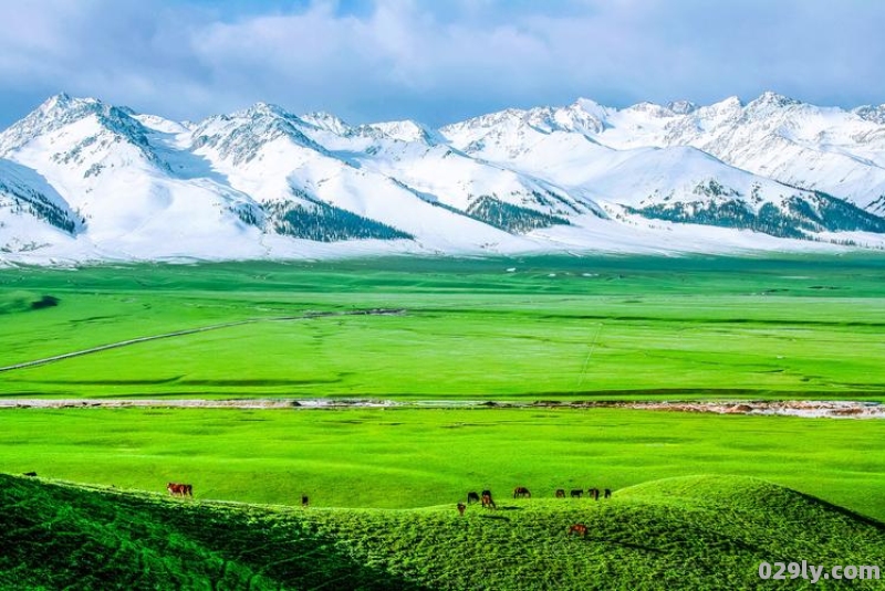 伊犁必去的十大景点（伊犁必去的十大景点排名）