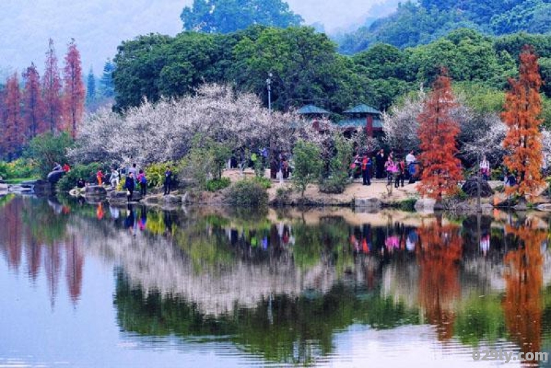 广州什么季节去好