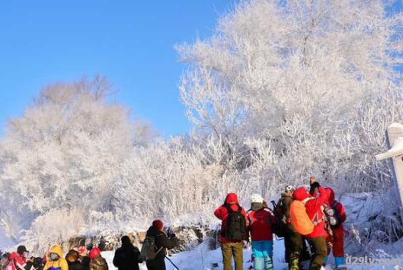 冬季旅游景点排行榜前十名有哪些