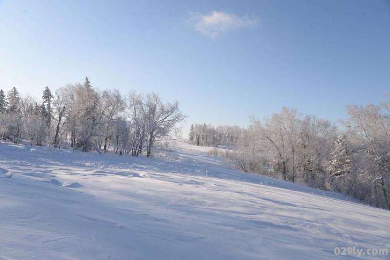 东北哪里的雪最大