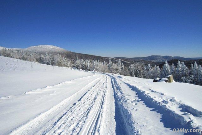 雪乡国家森林公园怎么去哈尔滨