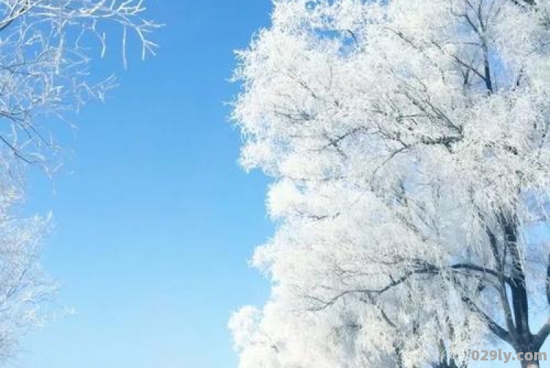 你见过最美的雪景是在哪里