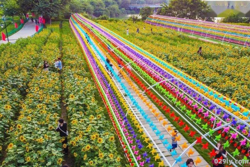 福州贵安花海公园一日游玩攻略