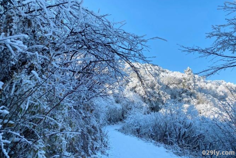 绵阳附近玩雪的地方